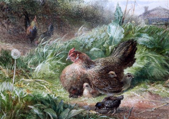 George Hickin (fl.1858-1877) Chickens in a field 23 x 33cm